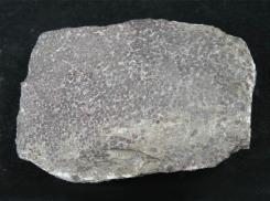 鲕状灰岩-Oolitic Limestone